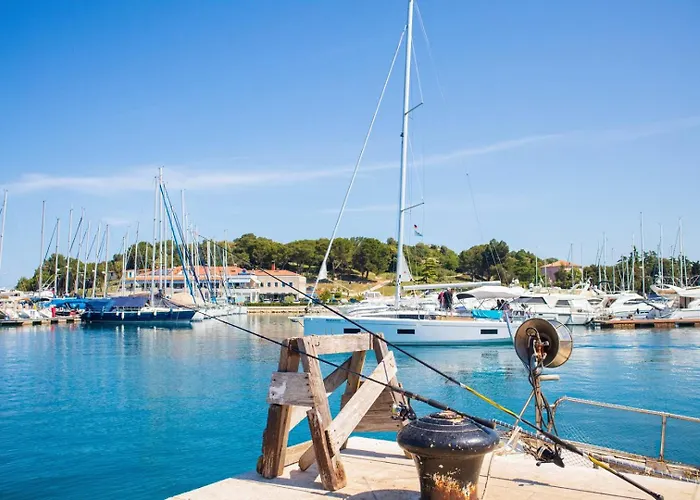 Appartamento Dora Orsera